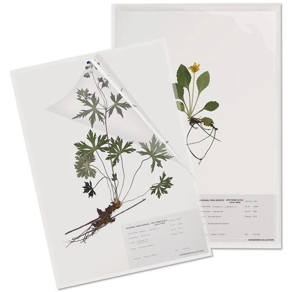 Herbarium Specimen Sheet Protector 292x419mm 3 Herbarium Specimen Sheet Protector 292x419mm