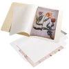 Hanging File Insert Folders - Buffered 1 Hanging File Insert Folders - Buffered -Save device 678 9119 Paper File Folder Inserts 600x600