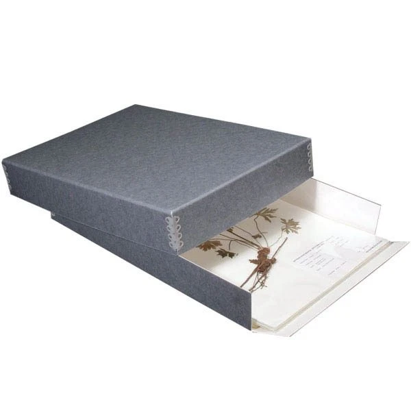Drop Front Herbarium Box 432 X 311 X 127mm 3 Drop Front Herbarium Box 432 X 311 X 127mm