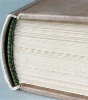 PEL-Caster Leafcasting Machine 5 PEL-Caster Leafcasting Machine - Image 3