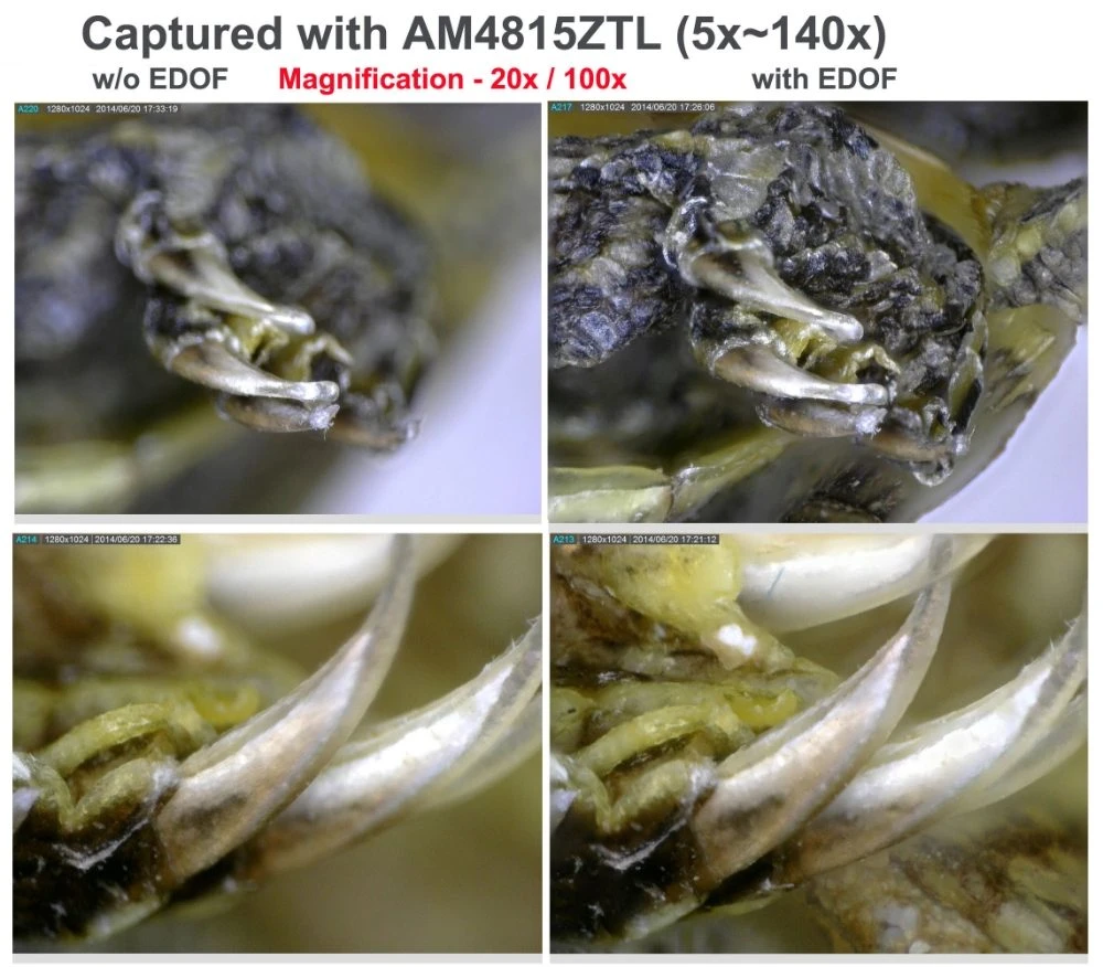 Digital Microscope - 10x - 140x / Exchangeable Caps / 5MP / EDOF | Dino Lite AM7915MZTL 4 Digital Microscope - 10x - 140x / Exchangeable Caps / 5MP / EDOF | Dino Lite AM7915MZTL - Image 2