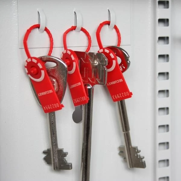 Key Cabinets - Up To 300 Keys 4 Key Cabinets - Up To 300 Keys - Image 2