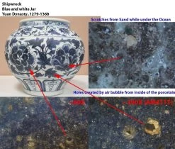 Digital Microscope - Standard Working Distance / 10x-70x & 200x / ABS | Dino Lite AM4113ZT -Save device Porcelain inspection 1000x850