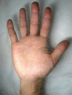 Tengu Japanese Paper 1.6-7.3gsm 10 Tengu Japanese Paper 1.6-7.3gsm -Save device Tengujo Japanese Paper 608x800