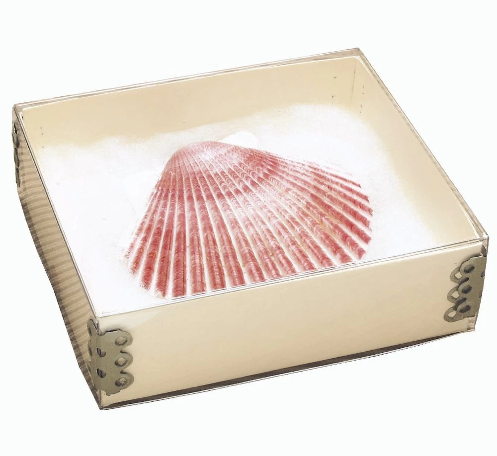 Top View Artifact Boxes 3 Top View Artifact Boxes