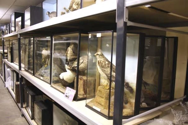 Warehouse Shelving System - Steel Shelving 7 Warehouse Shelving System - Steel Shelving - Image 5