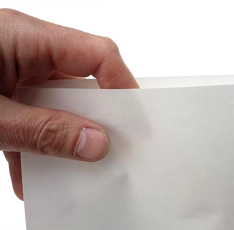 Archival Paper Binder Pages 4 Archival Paper Binder Pages - Image 2